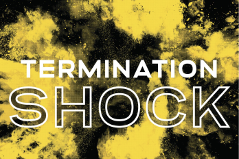 Titelbild des Buches Termination Shock